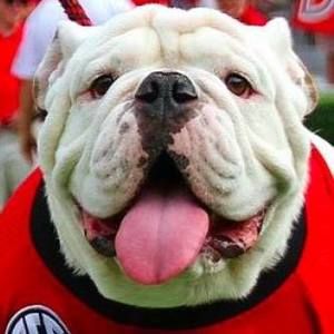 Meet your Posher, Ross